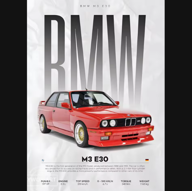 Póster Mundo BMW