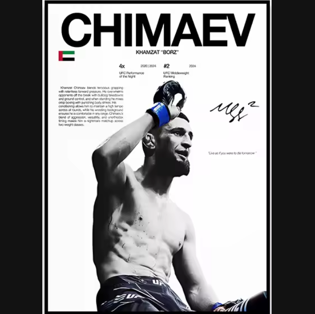 Póster Boxeadores UFC