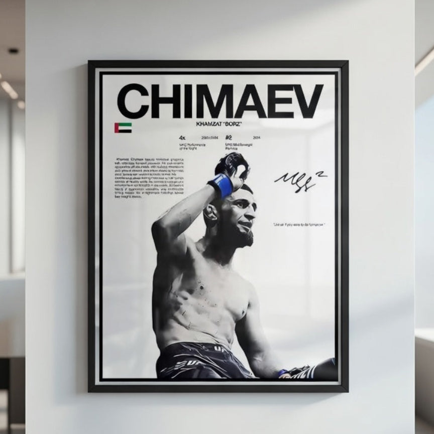 Póster Boxeadores UFC