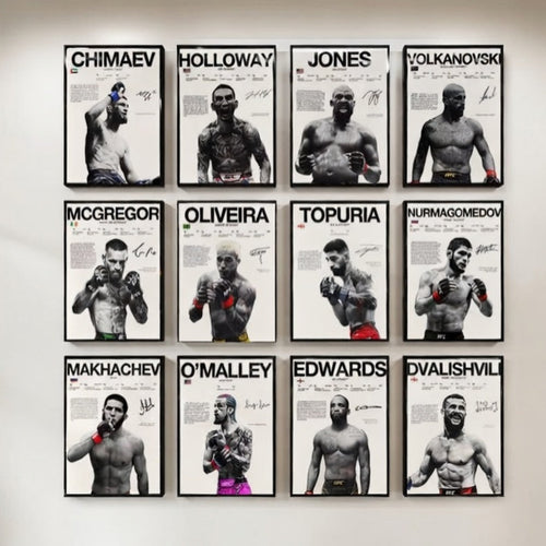 Póster Boxeadores UFC