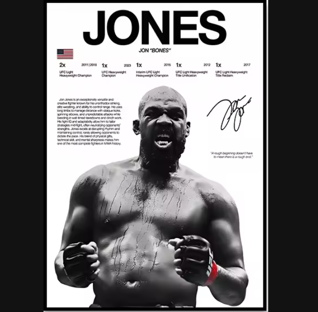 Póster Boxeadores UFC