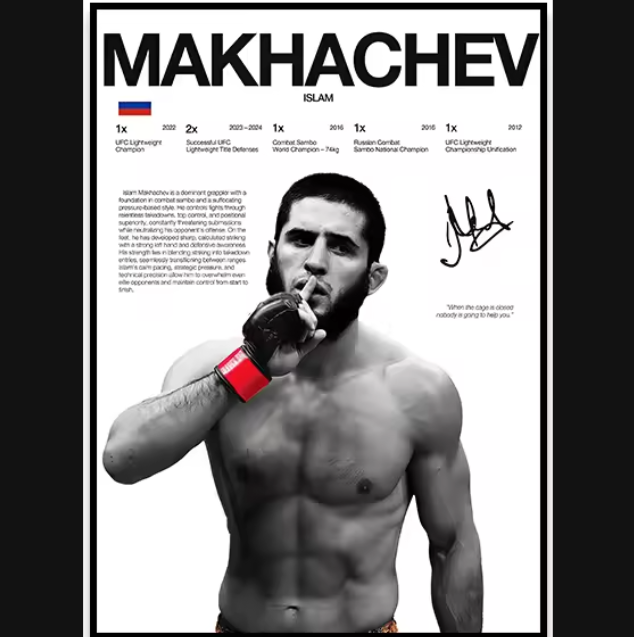 Póster Boxeadores UFC