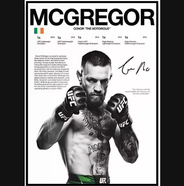 Póster Boxeadores UFC