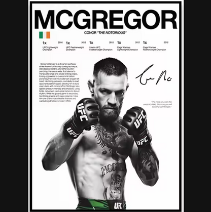 Póster Boxeadores UFC