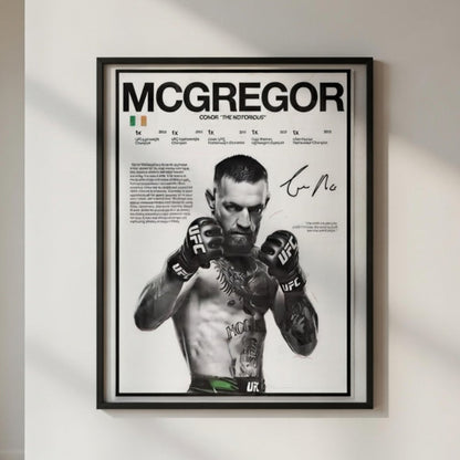 Póster Boxeadores UFC