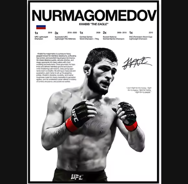 Póster Boxeadores UFC