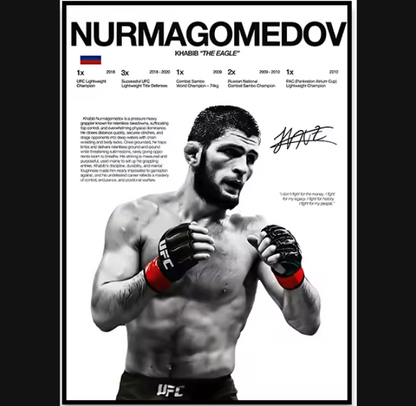 Póster Boxeadores UFC