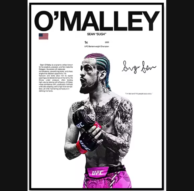 Póster Boxeadores UFC