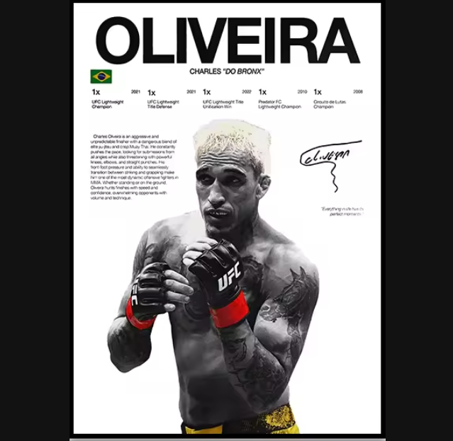 Póster Boxeadores UFC