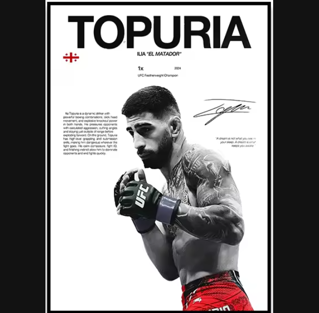 Póster Boxeadores UFC