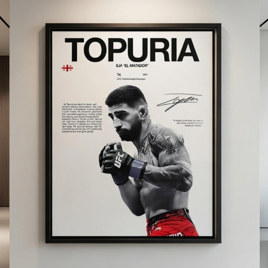 Póster Boxeadores UFC