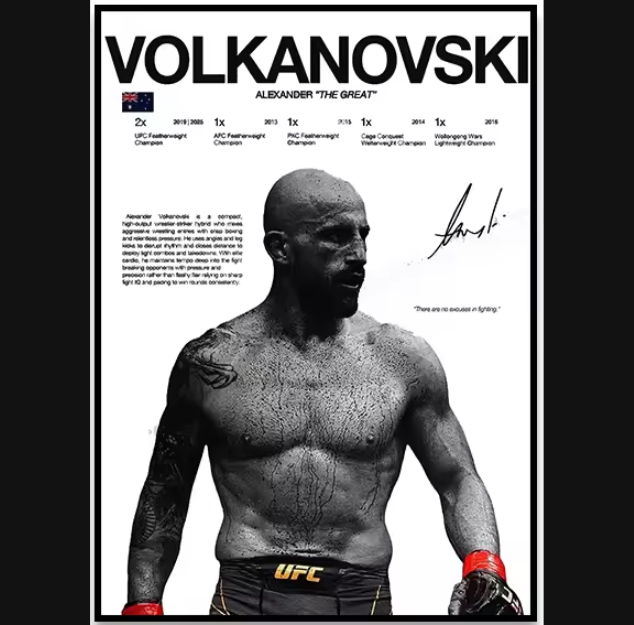 Póster Boxeadores UFC